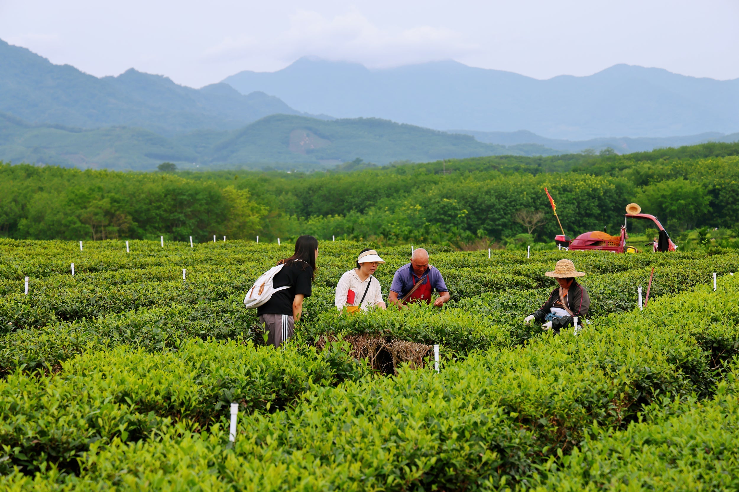 2025 Spring Tea