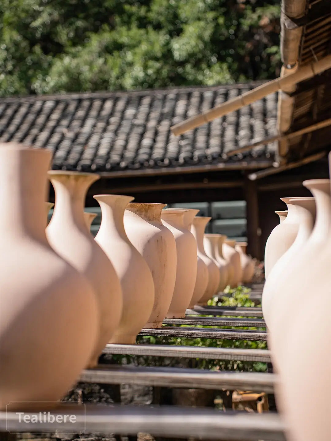 The Art of Jingdezhen Enamel Porcelain