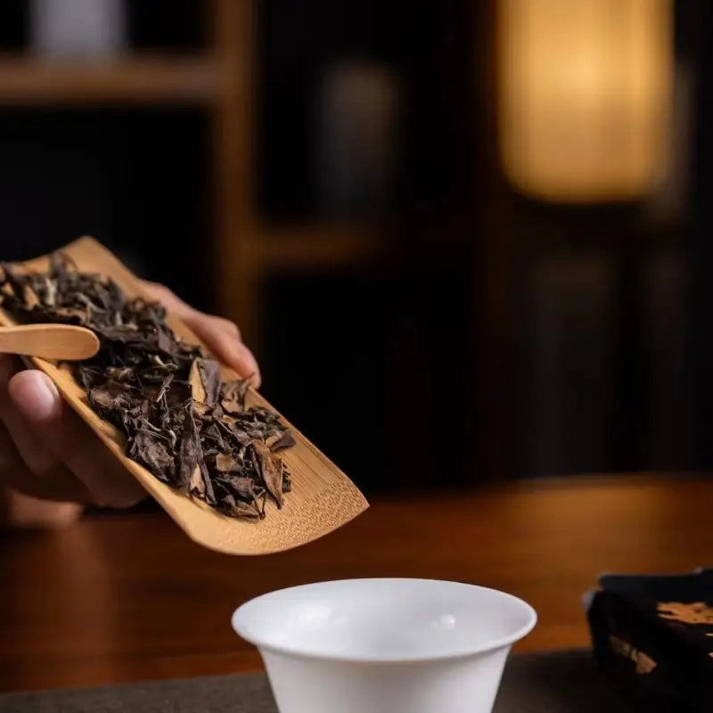 Tea leaves pouring into a white cup of 2014 Aged Shoumei Dark Aroma Edition white tea
