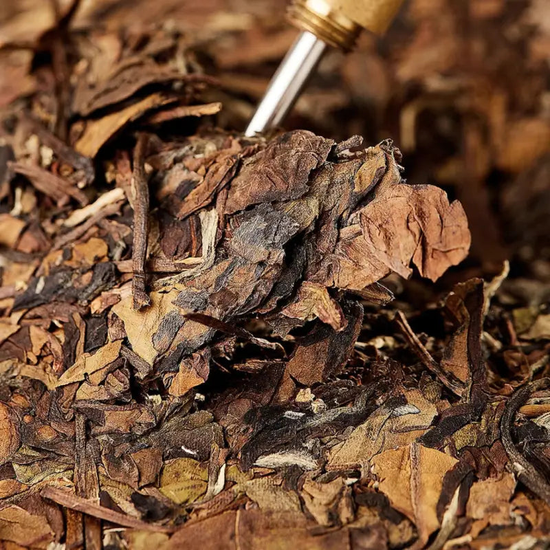 Dried tea leaves of Fuding Shoumei White for aged white tea and long-term aging