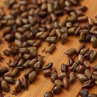 Liver Tea Health-Enhancing Herbal Tea Vital Tea Liver Detox