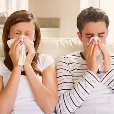 Schlaftee Gesundheitsfördernder Kräutertee Gesundheitstee Kräutertee