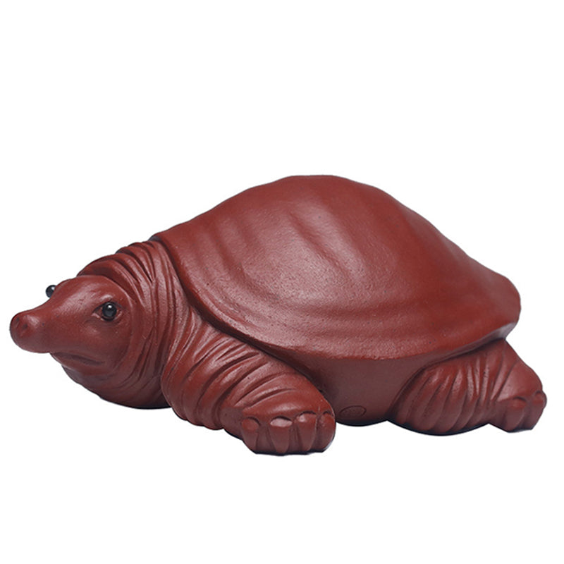Longevity Turtle