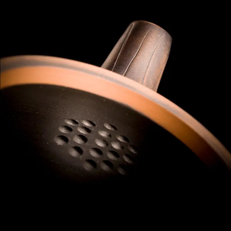 Dark brown shower head from Bloom II featuring modern Zitao teapot design and purple clay style