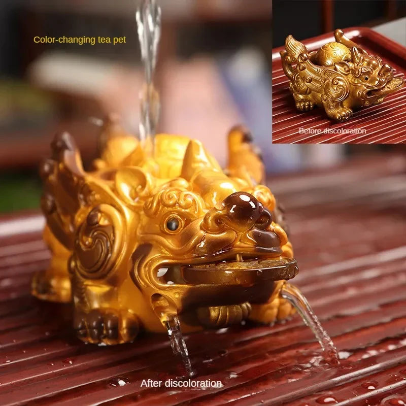 Color-changing Golden Toad Tea Pet white background product photo