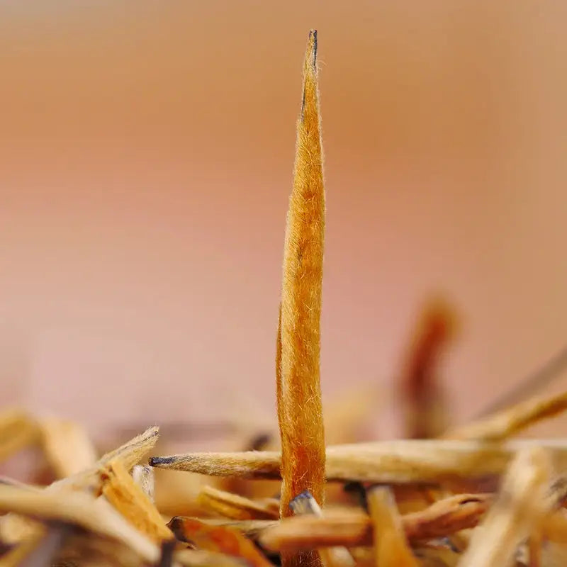 Golden needle tea bud for Da Jin Zhong Black Tea Leaf in elegant teapots and tea sets