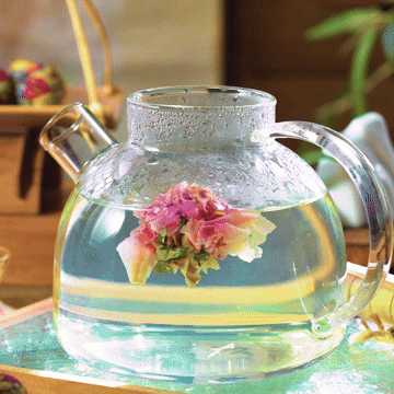 Flowering tea bloom opening in water