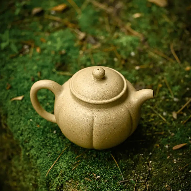 Golden Dew earthenware teapot with rounded body, Yixing Zisha craftsmanship
