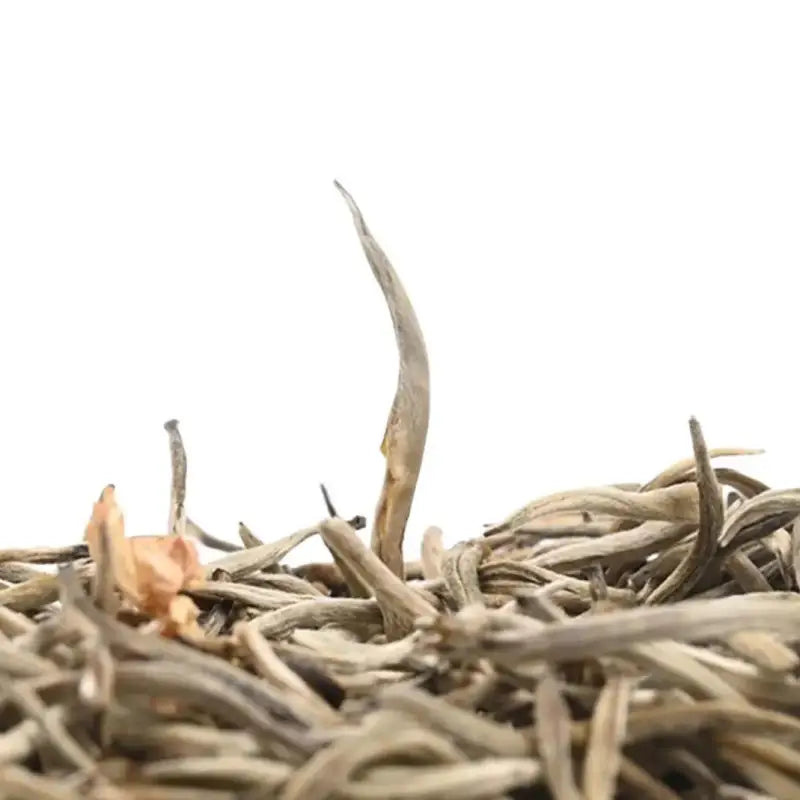 Pile of dried jasmine silver needle tea leaves with fresh jasmine flowers, white tea aroma