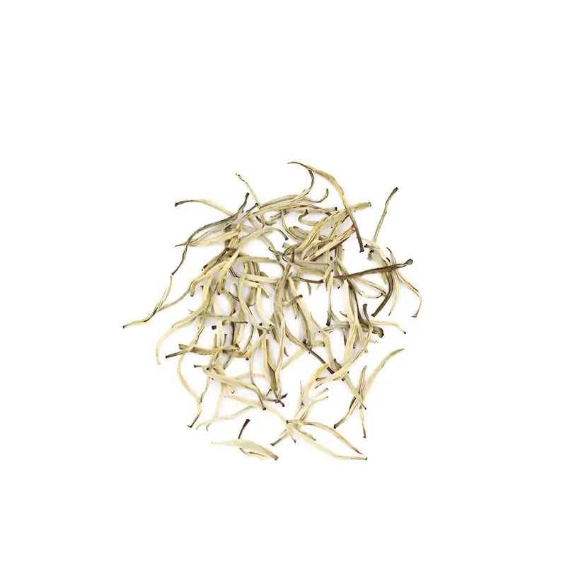Pile of dried pale green jasmine silver needle white tea leaves with fresh jasmine flowers
