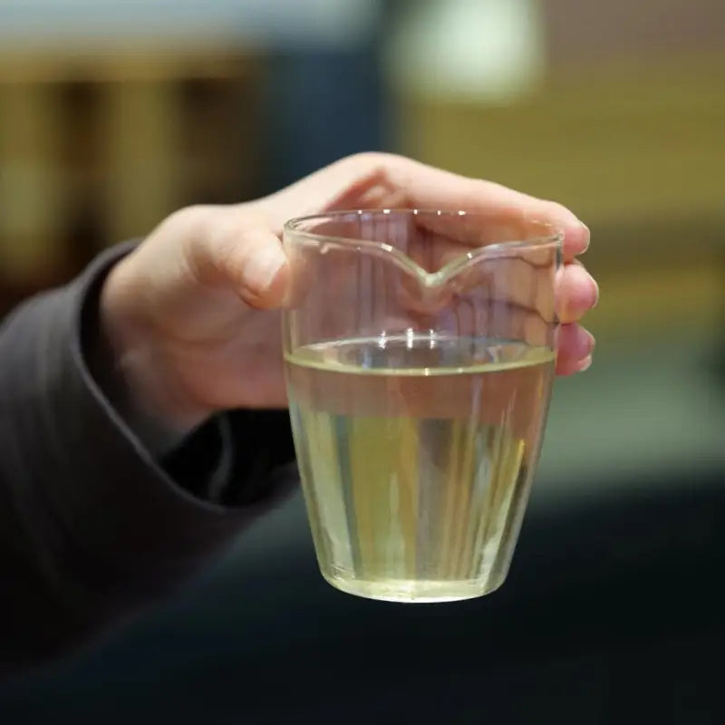 Clear glass pitcher with pale Longjing green tea from Xitou Mountain’s ancient tea trees