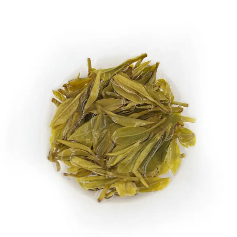 Pile of green tea leaves from Xitou Mountain’s ancient tea trees for Old Tree Longjing 2025
