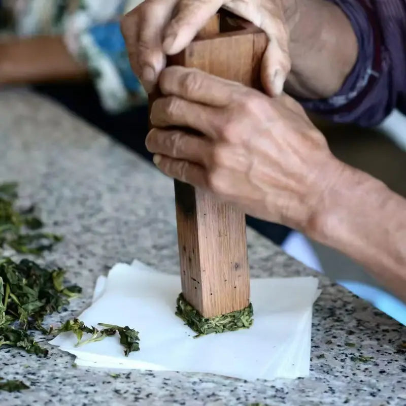 Wooden press compacting green leaves for Premium Jasmine Magnolia Dancong compressed shuixian