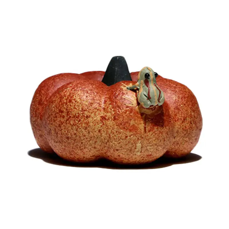 Orange pumpkin with frog for Pumpkin Frog Fountain tea pet, perfect for tea pets guide