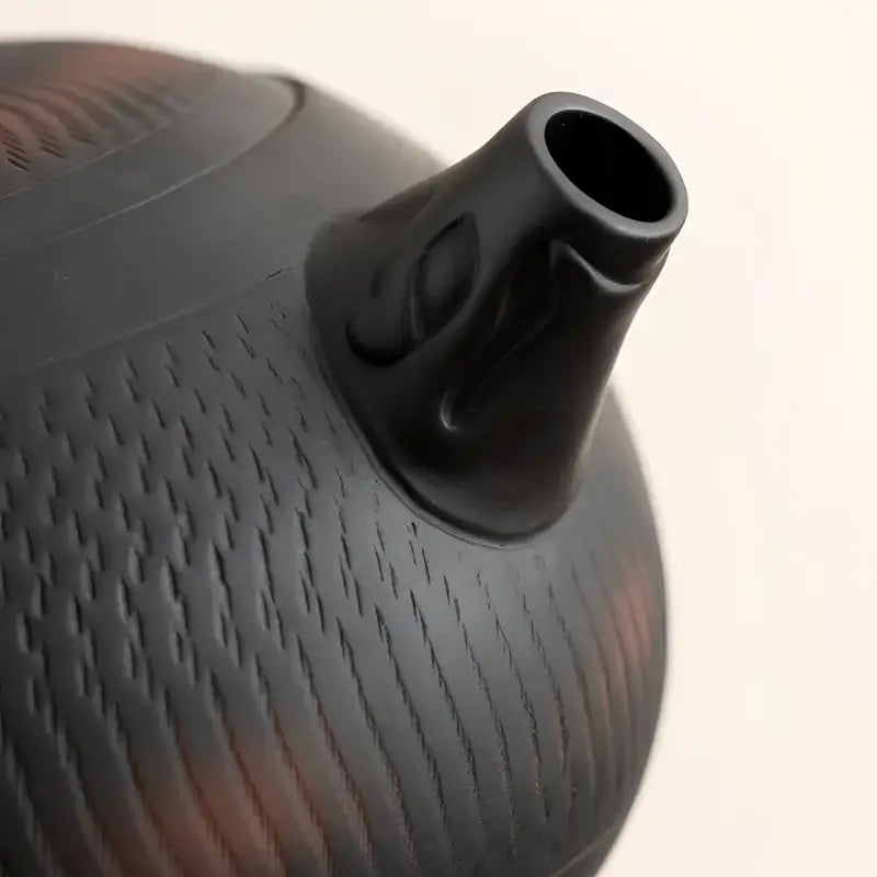 Shadow Lion Yixing Zisha teapot set featuring a black textured spout for elegant tea brewing