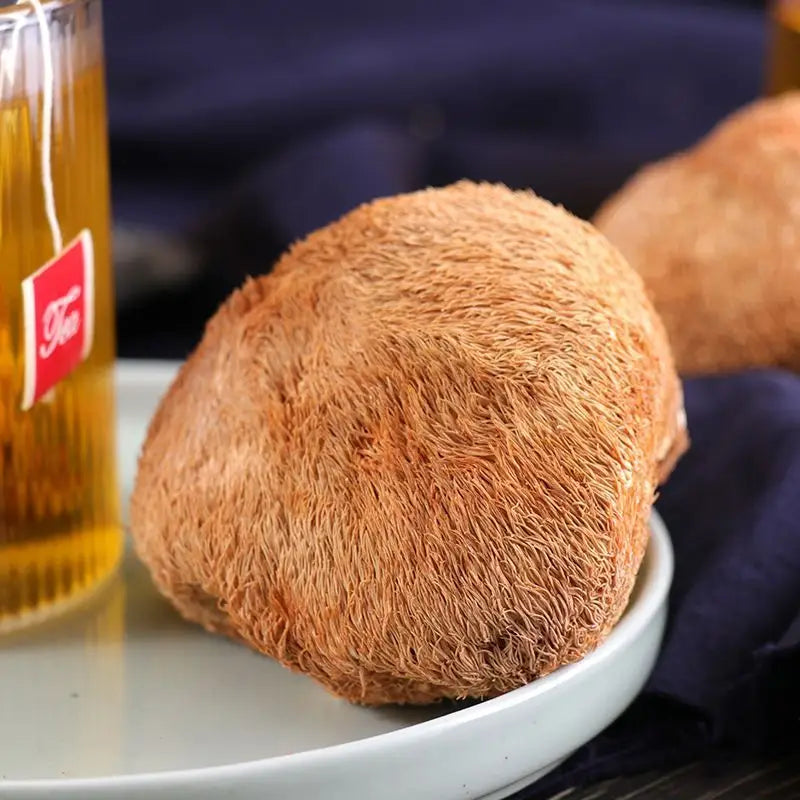 Fuzzy light-brown mushroom in Stomach Tea Health-Enhancing Herbal Tea for herbal tea health