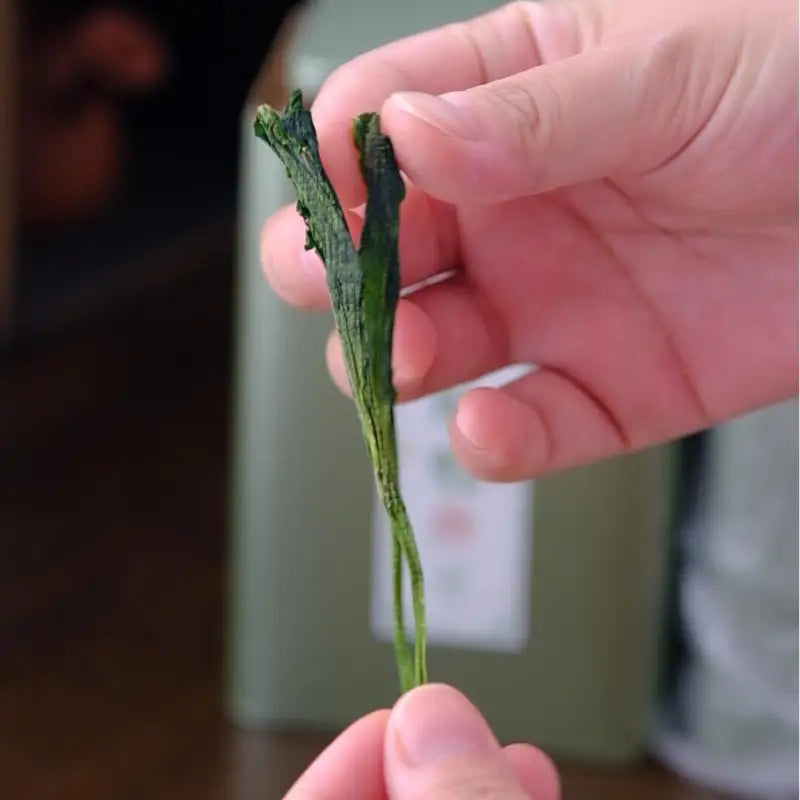 Dried green tea sprig of Taiping Houkui with orchid aroma and mountain freshness spring harvest